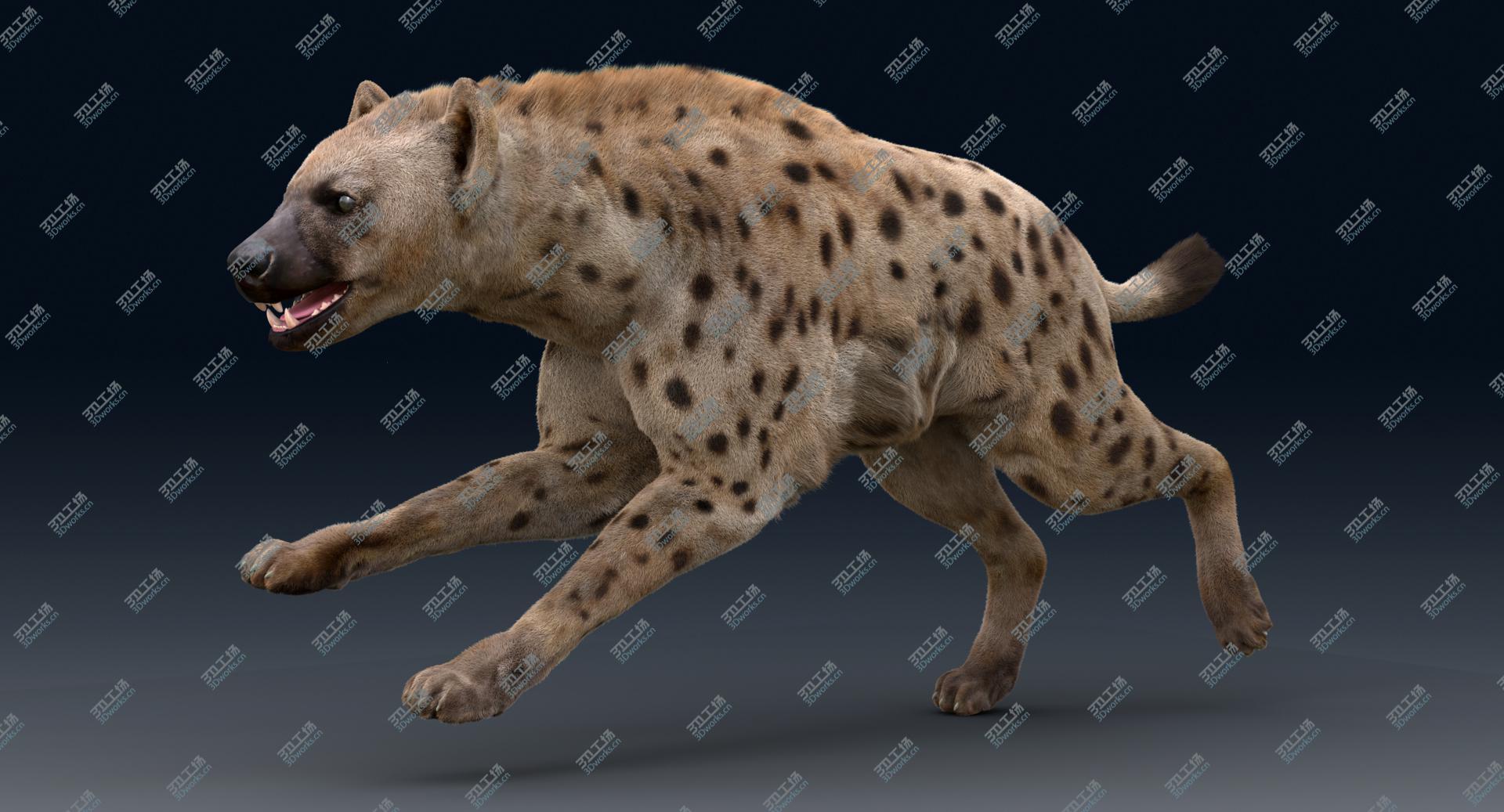 images/goods_img/2021040233/3D Hyena Animated Fur model/3.jpg